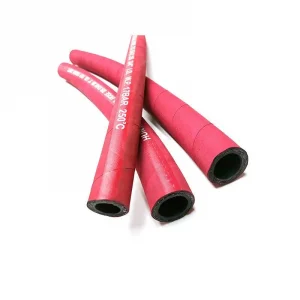 Steam Hose