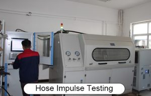 Schlauch-Impuls-Prüfung