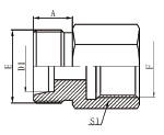 5CB/5DB Metric Male 24° L.T./H.T.*BSP Female