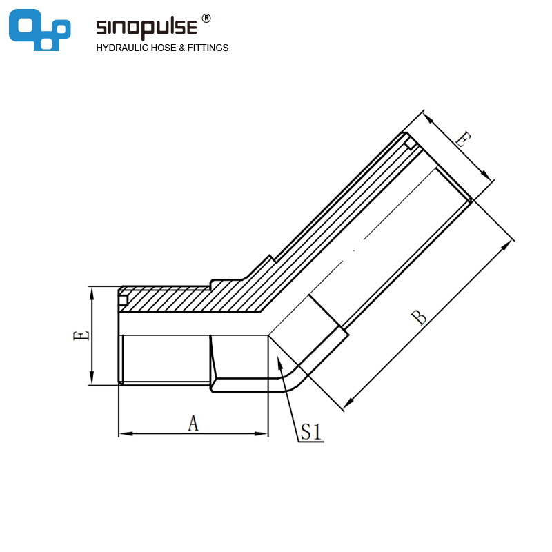 6F4 45°ORFS Male O-Ring Bulkhead