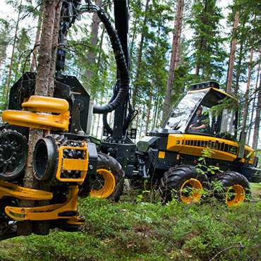 FORESTRY & LANDSCAPING